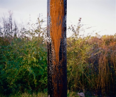 Creosote soaked Pole and Field | Baton Rouge LA | 2008
